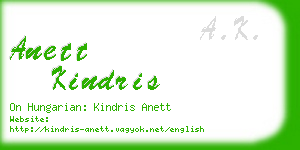 anett kindris business card